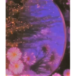 butterflys :>