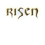 Risen Development