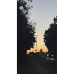 Froggies_Darling