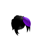 Hair Black & Purple