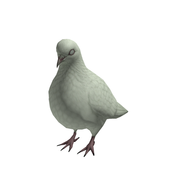 Zombie Pigeon Suit