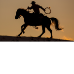 WILD WEST OF THE WESTERN WORLD