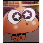 Boiwonder