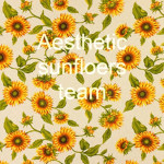 Aesthetic sunflowers team