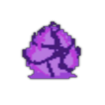 Insect Egg