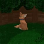 Warrior cats Into the wild map