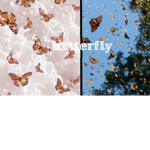 Girafficorns world