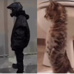 u think i care about a btc i aint a sucka