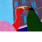 Flamingossssss united