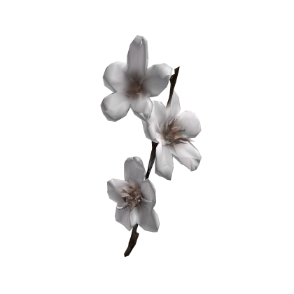  さくら sakura branch in your hair  樱花♡