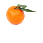 Clementine's Sunshine