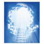 the protector's of heaven group