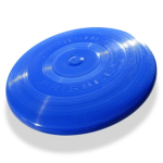 Throwing Things