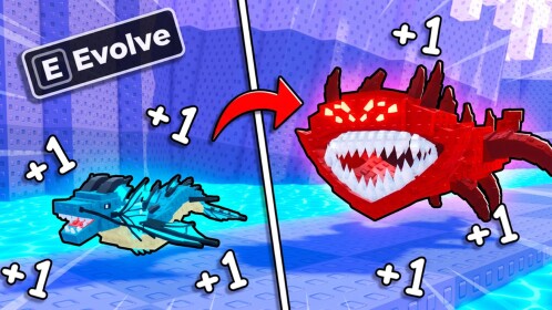 [🦈] +1 Shark Evolve