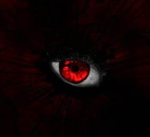 Eye-Community