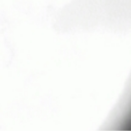 ✞