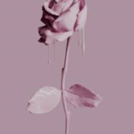 _aesthetic_