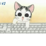 Derp Cats <3