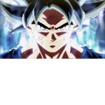 Fans de Dagon Ball Rage