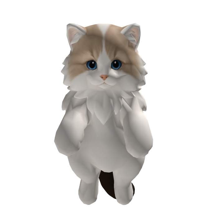 Fluffy Cat on Your Head
