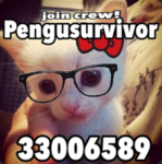 pengusurvivor