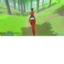 Ride horses and have fun!