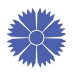 Belavia belarussairlines