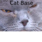 The Epic Cat Base