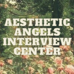 Aesthetic Angels Interview Center!
