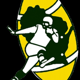 Packers Field
