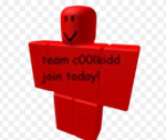 c00lkidd team111222