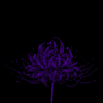 Purpzes