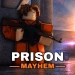 Prison Mayhem icon