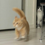 Ss_