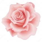 Rose's Rose Army!