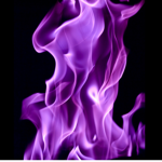 _PurpleFireBest_