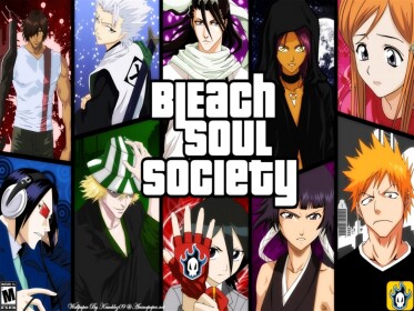 Bleach:soul society.