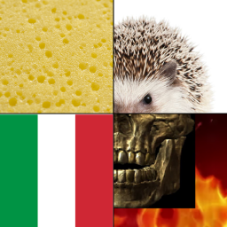 Sponge Hedgehog Italy Fight! (Maps!)