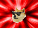 Doges-_-