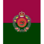 [BTP] Zulu Company, 2/1 Infantry Battalion