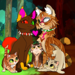 Die coolen (Fuchs_auge)