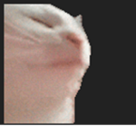 Mike Jameskii Official Group