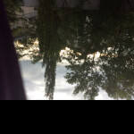 NEW OBBY | GIRLS WEEK