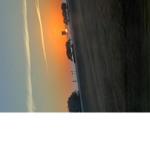 Sunset fan groupsss