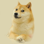 DogeDaDoge