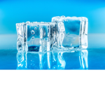 the icy dudes fan club