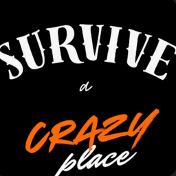 survive a crazy place (UPDATE)