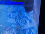 PrisonlifeYT