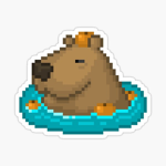 The Capybara Fan Group