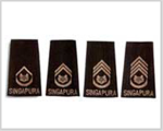 Singapore Armed Forces Warrant Officers